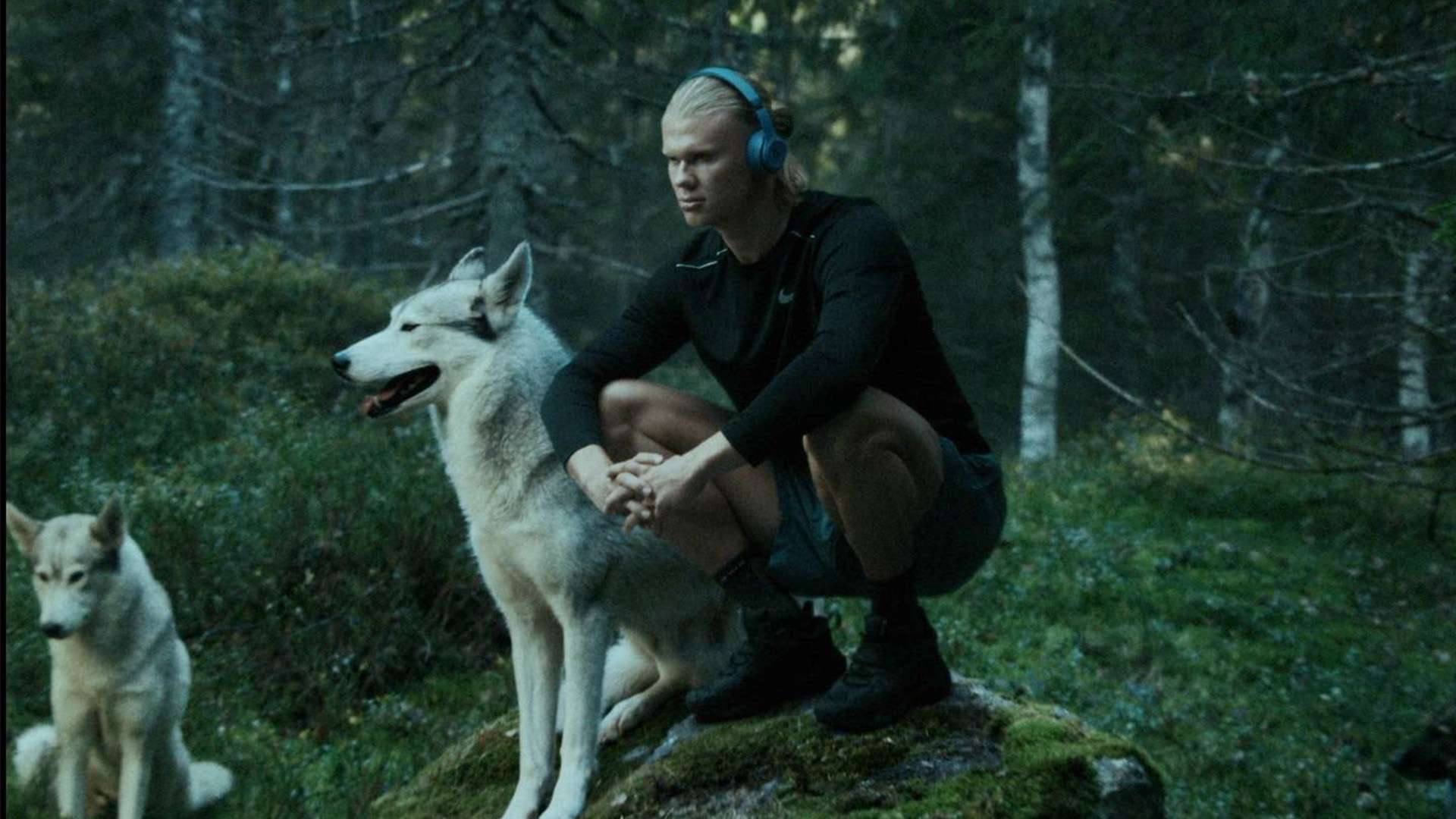 这不仅让比 这不仅让比